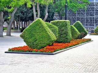 2564 Baku Boulevard National park Баку Приморский бульвар